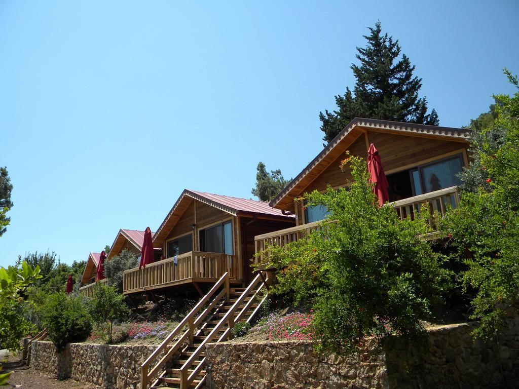 Azra Villas Çıralı Zimmer foto