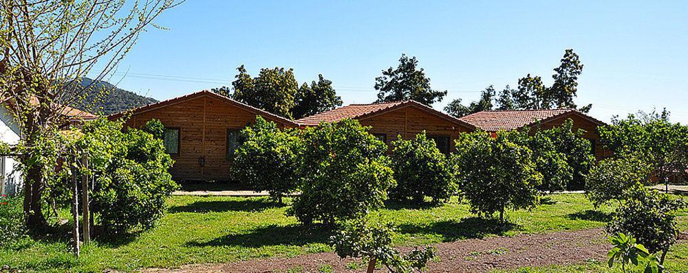 Azra Villas Çıralı Exterior foto